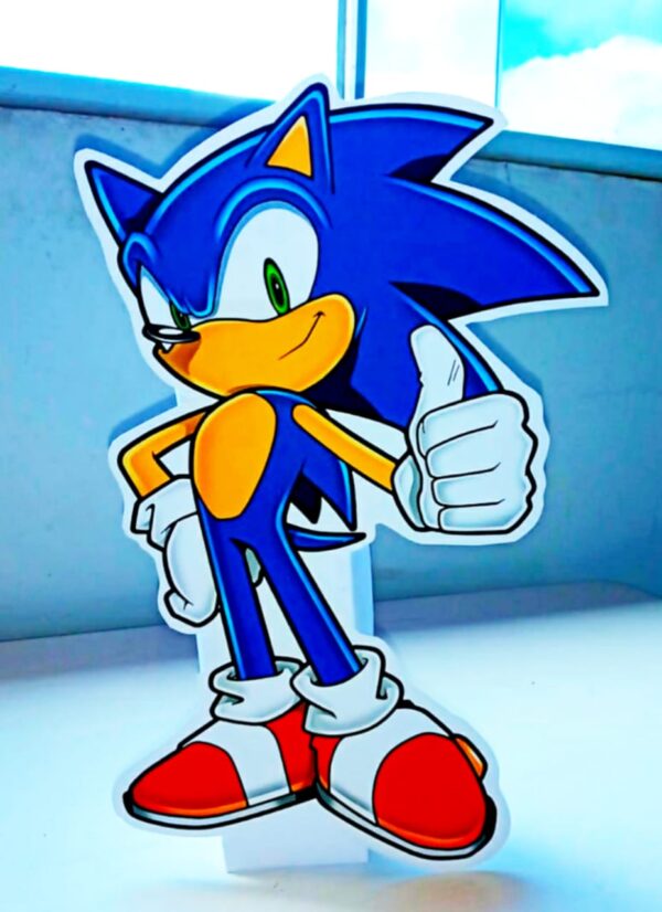 Festa Sonic - Image 8