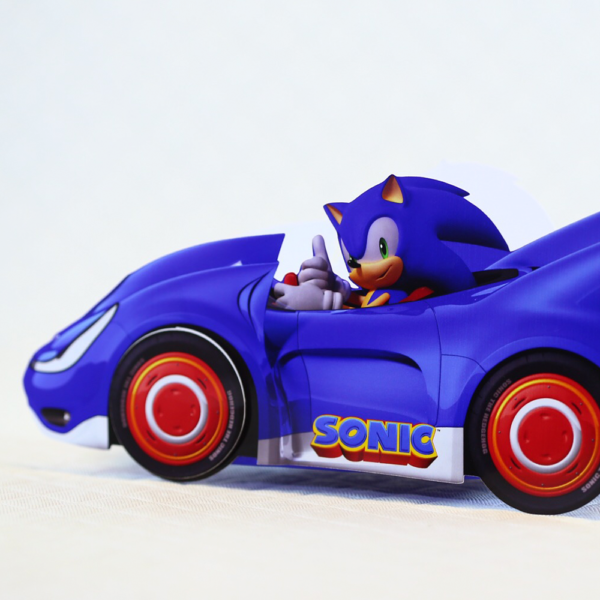 Festa Sonic - Image 9